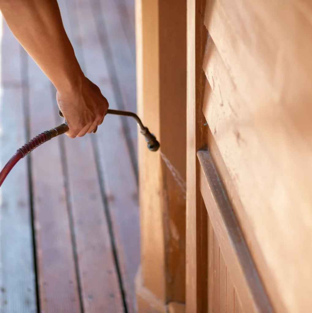 Trusted Pest Control - Passaic Pest Control Pros | Passaic, NJ | 862-829-2988